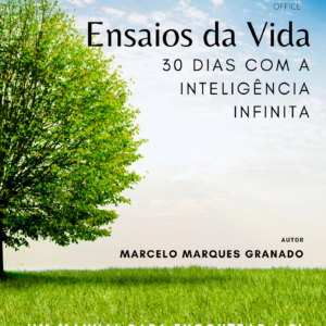 ENSAIOS BOOK