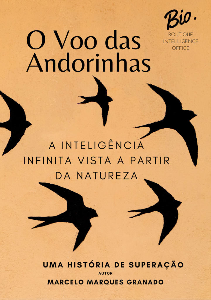 EBOOK VOO DAS ANDORINHAS