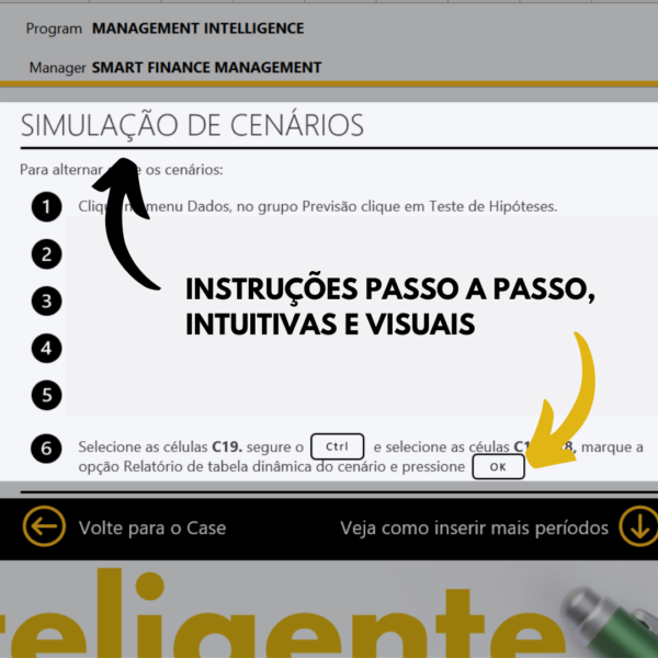 Ferramentas Inteligentes de Gestão - INSTRUÇÕES PASSO A PASSO